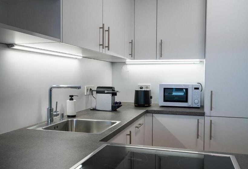 1침실 펜트하우스 아파트, Vienna Residence, Donaukanal   Landstraße