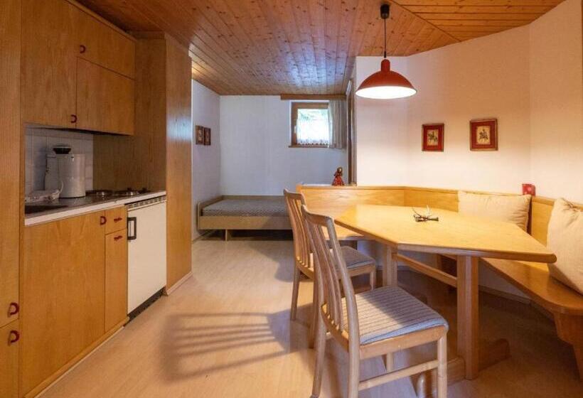 آپارتمان 2 خوابه, Alpinechalet Zigjam