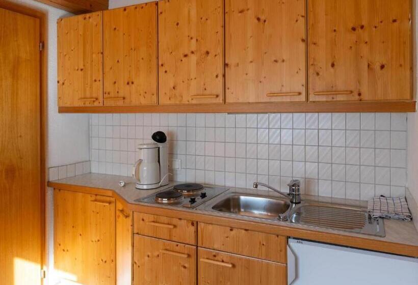 آپارتمان 1 خوابه, Alpinechalet Zigjam