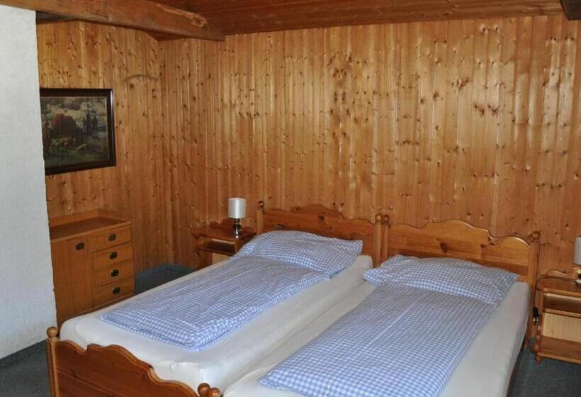 آپارتمان 3 خوابه, Alpinechalet Zigjam
