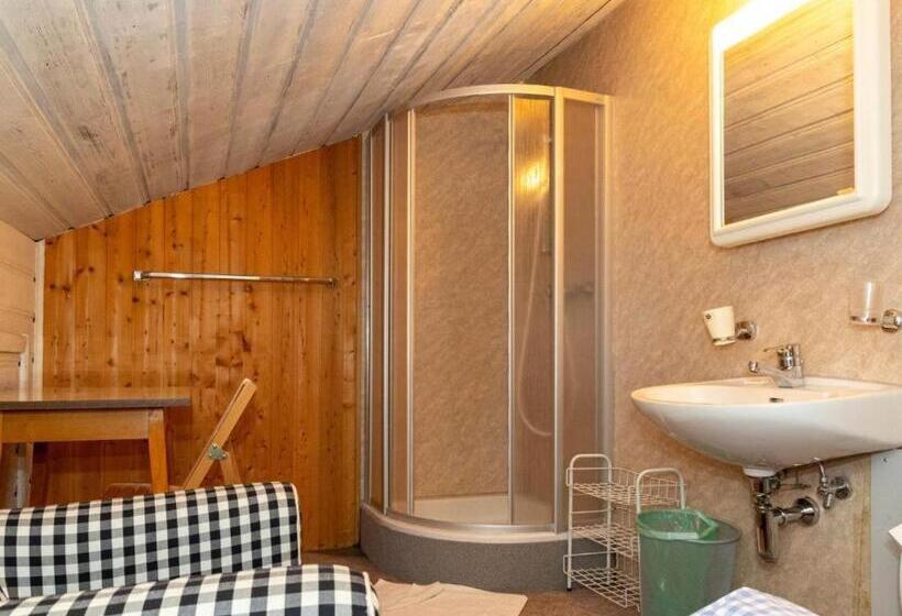 اتاق استاندارد با سرویس بهداشتی مشترک, Alpinechalet Zigjam