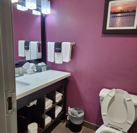 Студио Стандарт Кровать Кинг, La Quinta By Wyndham Dallas Grand Prairie North