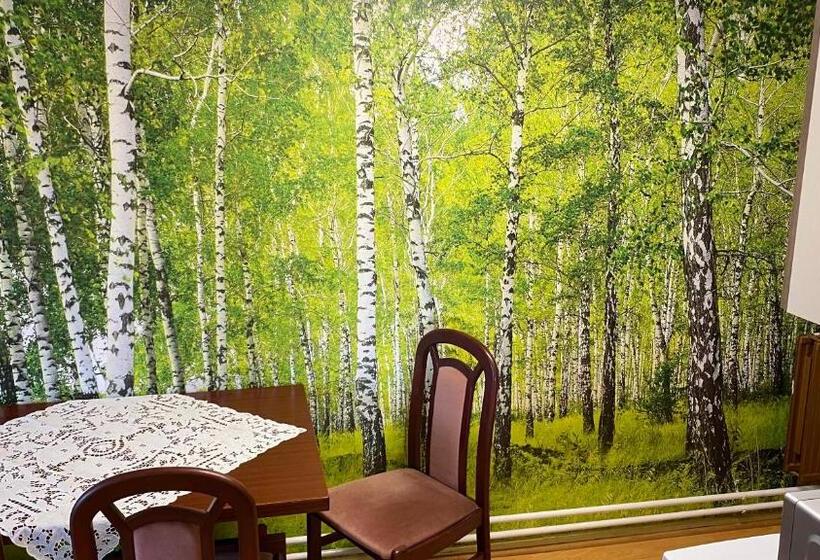Апартаменты 2 Спальни, Schröder S Motel