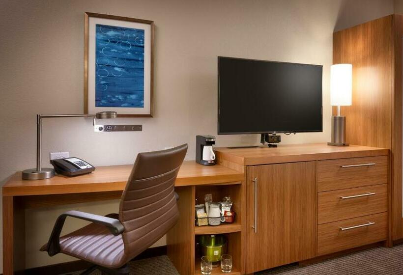 Номер Стандарт Кровать Кинг Адаптированный для Инвалидов, Hyatt Place Emeryville/san Francisco Bay Area
