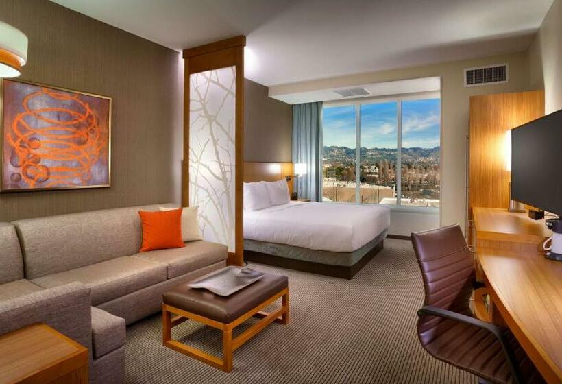 Номер Стандарт Кровать Кинг Адаптированный для Инвалидов, Hyatt Place Emeryville/san Francisco Bay Area