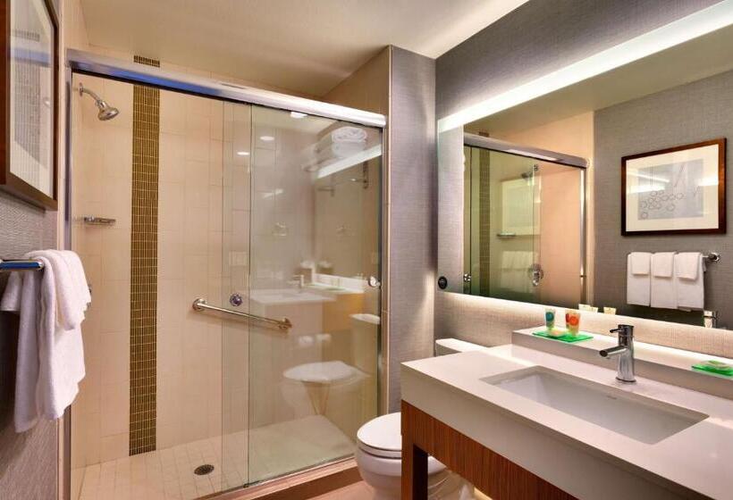 Номер Стандартный с Видом, Hyatt Place Emeryville/san Francisco Bay Area