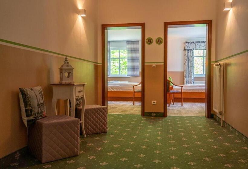 غرفة قياسية, Parkhotel Neustadt Garni