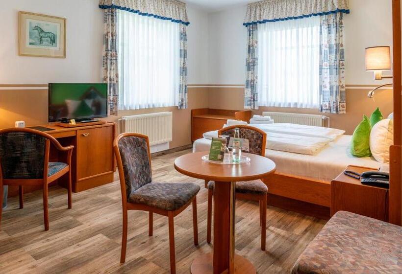 غرفة قياسية, Parkhotel Neustadt Garni