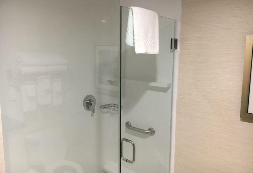 带大床的套房, Fairfield Inn & Suites By Marriott Detroit Troy