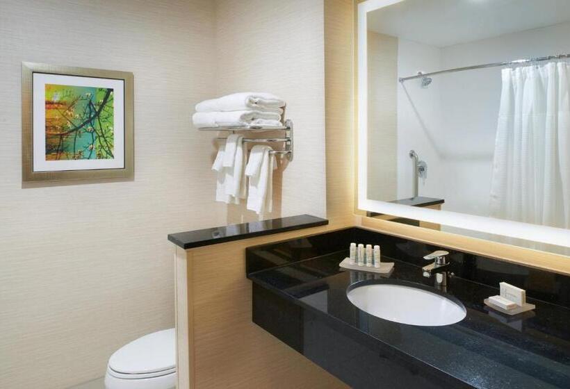Номер Стандарт, Fairfield Inn & Suites By Marriott Detroit Troy