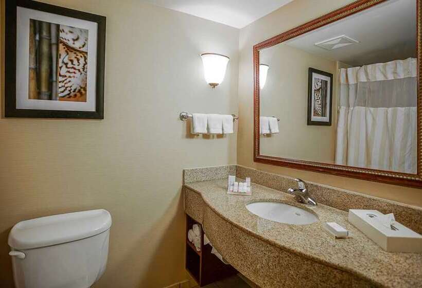 标准间, Black Fox Lodge Pigeon Forge, Tapestry Collection By Hilton