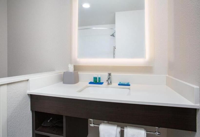 스위트 킹사이즈 침대, Holiday Inn Express & Suites   Rapid City   Rushmore South, An Ihg