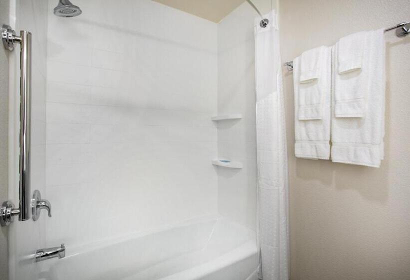 장애인을 위한 킹사이즈 침대 스탠다드 룸, Holiday Inn Express & Suites   Rapid City   Rushmore South, An Ihg
