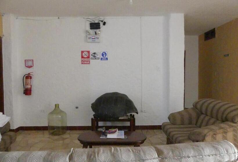 Номер Economy, Hostal Estrella De Mar
