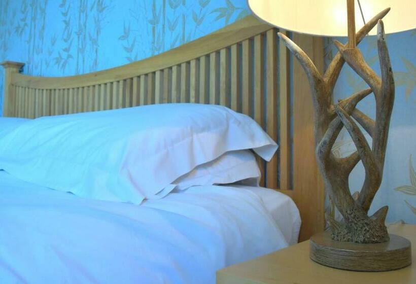 スタンダードルーム, No12 Bed And Breakfast, St Andrews