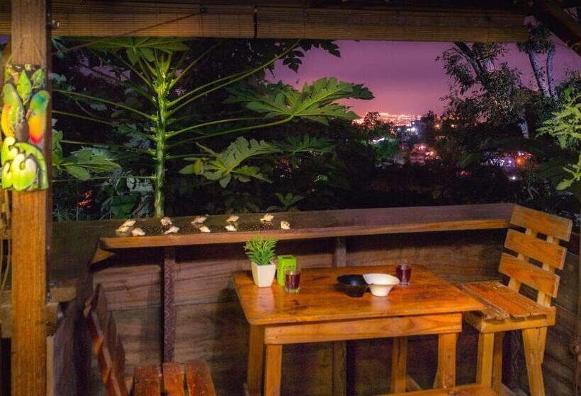 샬레, Colibri Hostal Minca Santa Marta