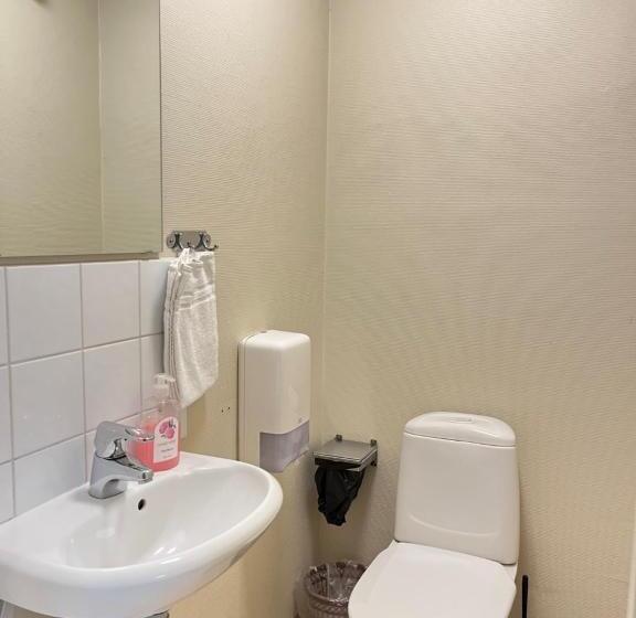 Номер Стандарт Совместная Ванная, Carlstad Sport Hostel
