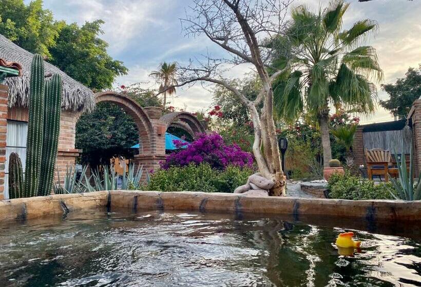 デラックススイート, Casa Xochitl
