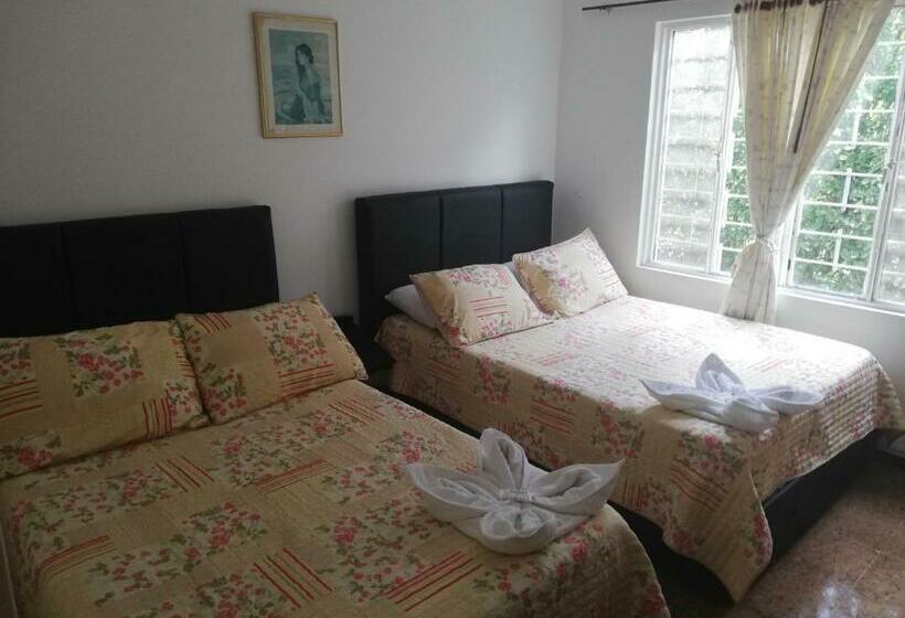 四人标准间, Campestre La Vega Inn