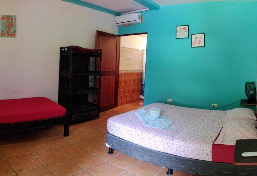 Номер Superior, Cool Vibes Beach Hostel