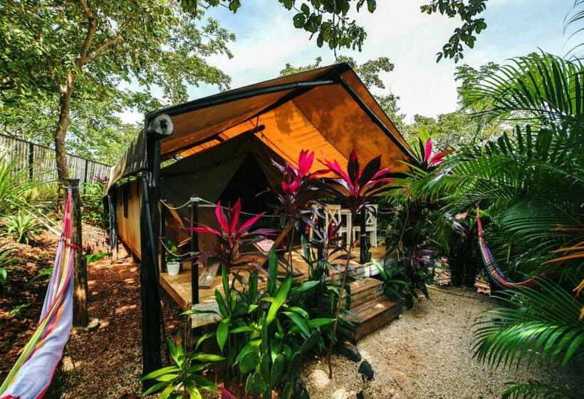 디럭스 4인 룸, Glamping Hotel Flor Y Bambu