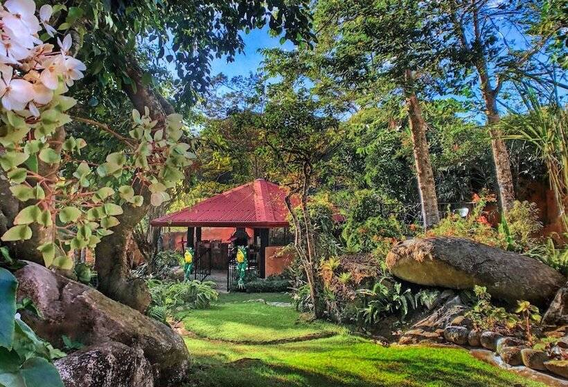 스탠다드 룸 킹사이즈 침대, Boquete Garden Inn