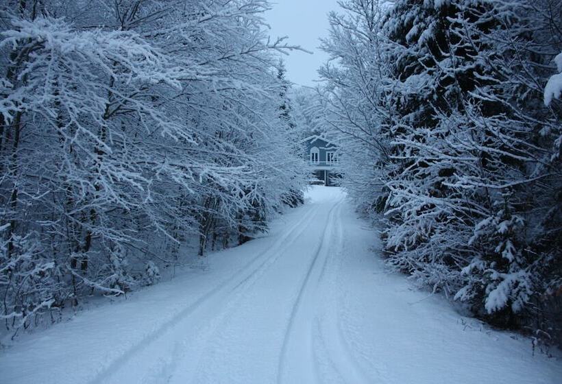 کلبه ییلاقی, Chalets & Studios Le Vent Du Nord