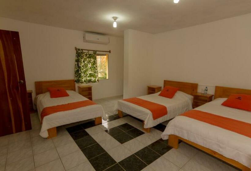 اتاق خانوادگی, Tuzco Lodge