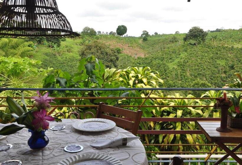 Quarto Quádruplo Estandar, Finca Machangara