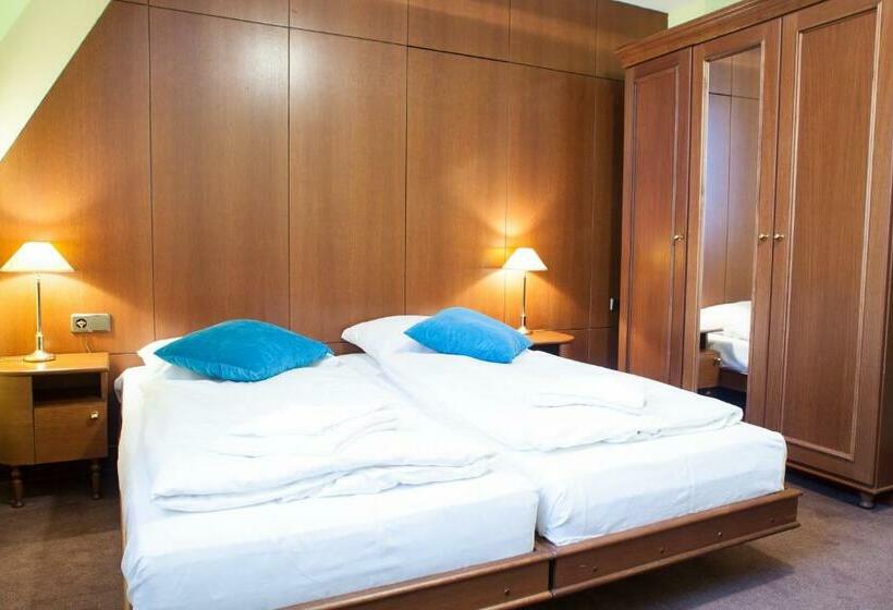اتاق استاندارد, Retro Hotel Villa Ostrava