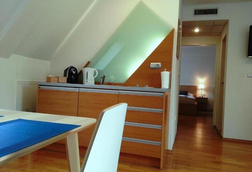 آپارتمان 1 خوابه, Retro Hotel Villa Ostrava