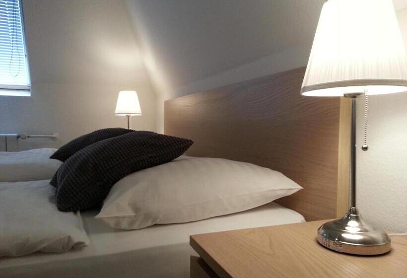 آپارتمان 1 خوابه, Retro Hotel Villa Ostrava