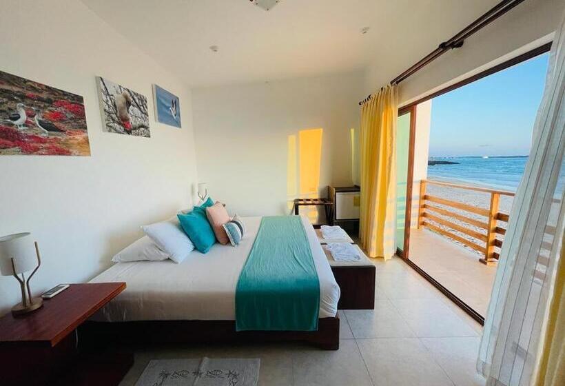 Полулюкс Вид на Море, Cormorant Beach House