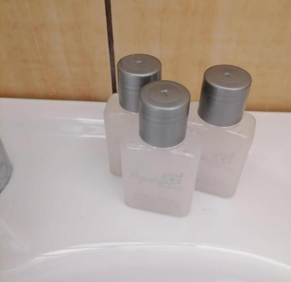 이코노미 룸, Tomis Hotel Neptun
