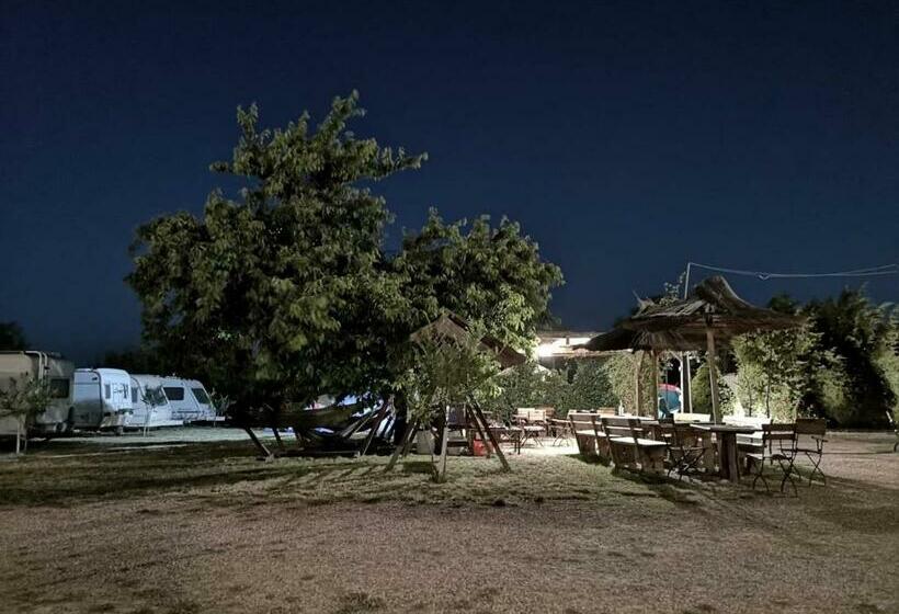 اتاق استاندارد چهار تخته, Marina Park