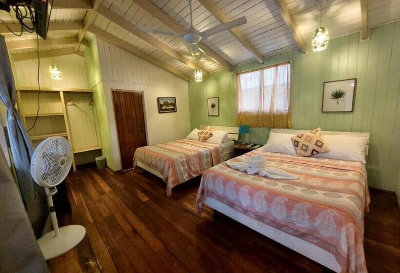 四人标准间, M&m Beach House