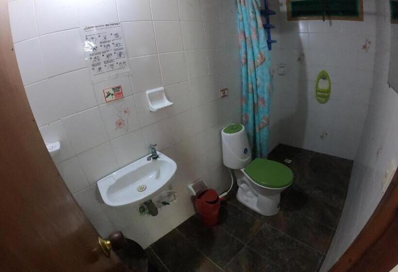 اتاق استاندارد چهار تخته, The Rock House Eco