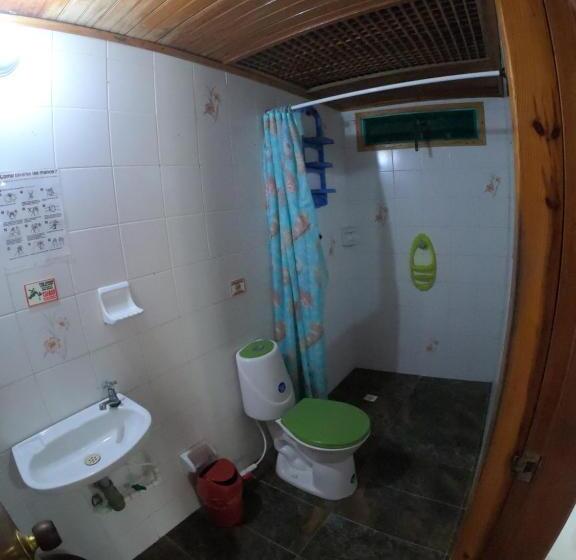 四人标准间, The Rock House Eco