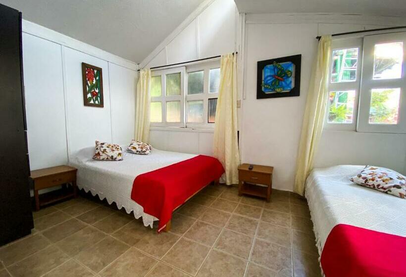 스탠다드 방갈로, Eco Hotel Las Palmas