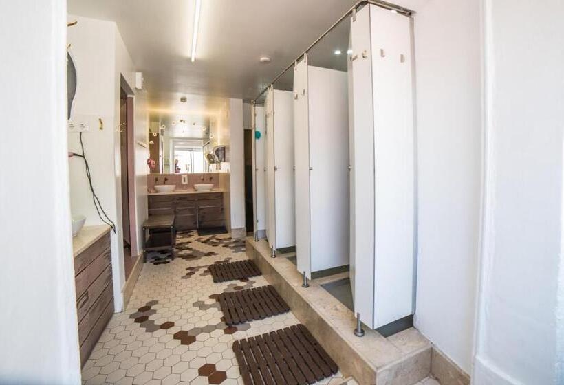 Bed in Shared Room with Shared Bathroom, Goodmorning Solo Traveller Hostel