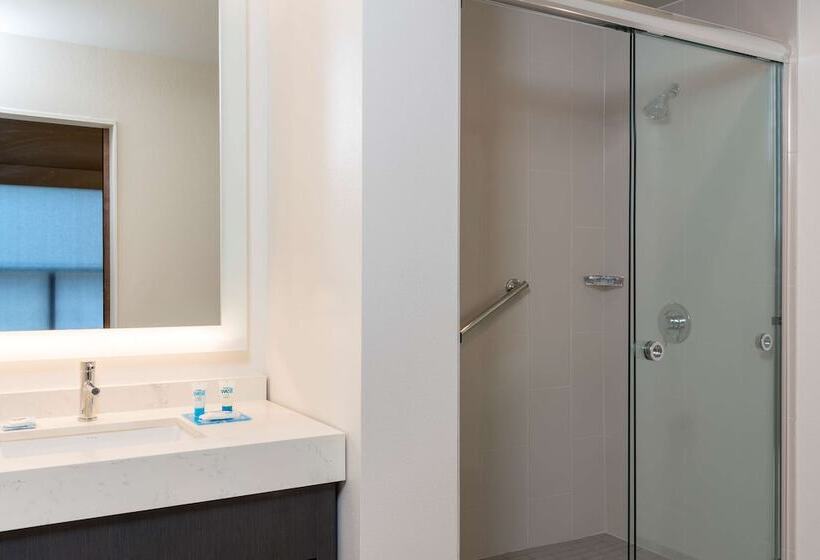 Люкс Кровать Кинг, Hyatt House Austin/downtown
