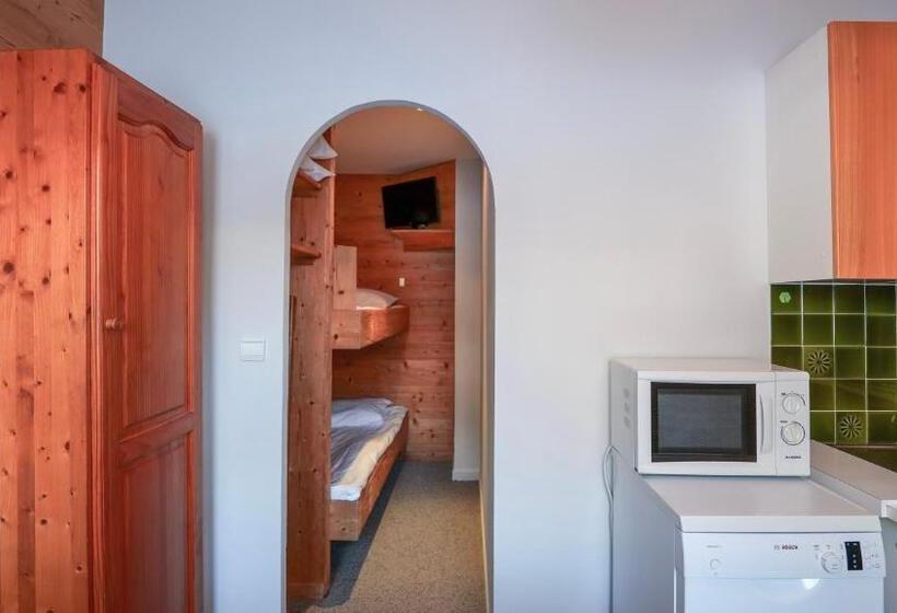 Апартаменты 1 Спальня, Chalet Hôtel Des 2 Gares