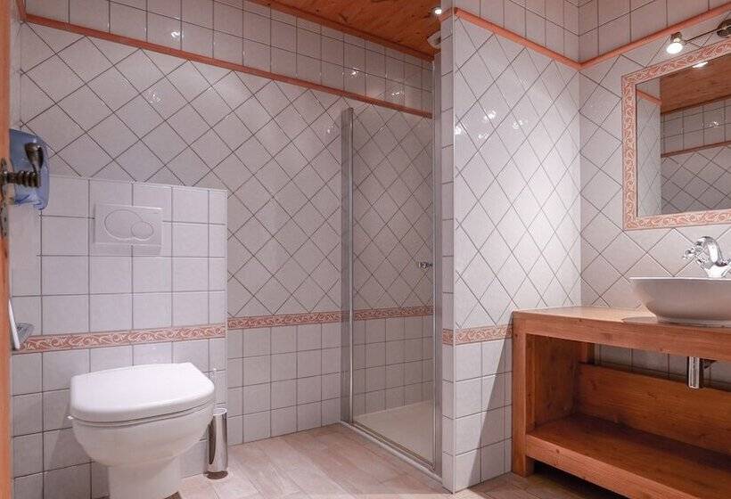 Номер Стандарт Трехместный, Chalet Hôtel Des 2 Gares
