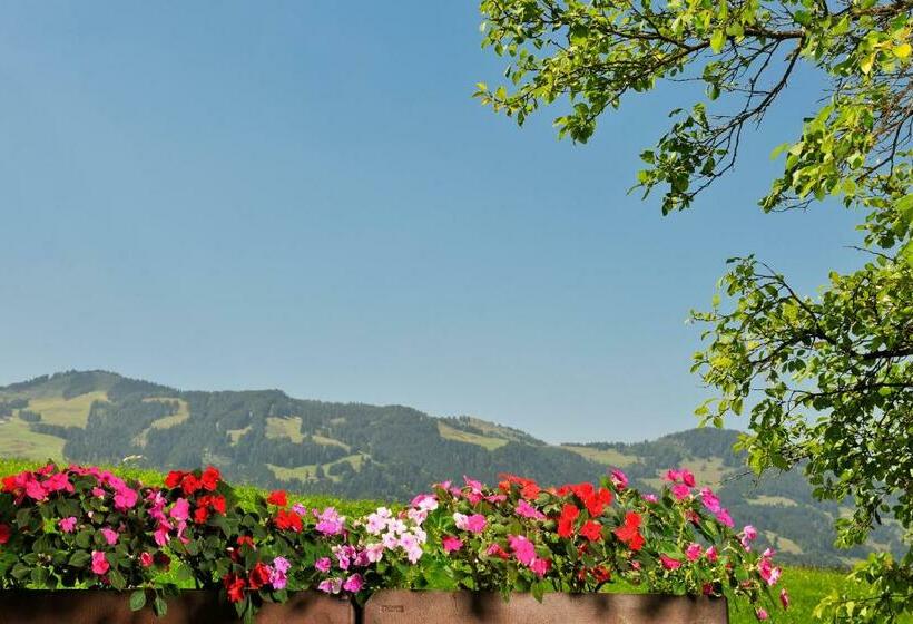 Номер Стандарт, Alpenblick
