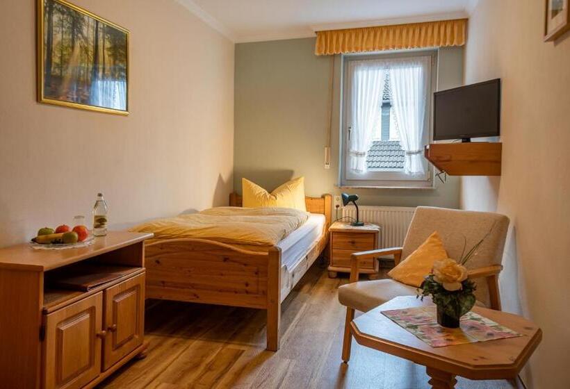 Номер Стандарт Индивидуальный, Landhotel Gasthof Zur Post