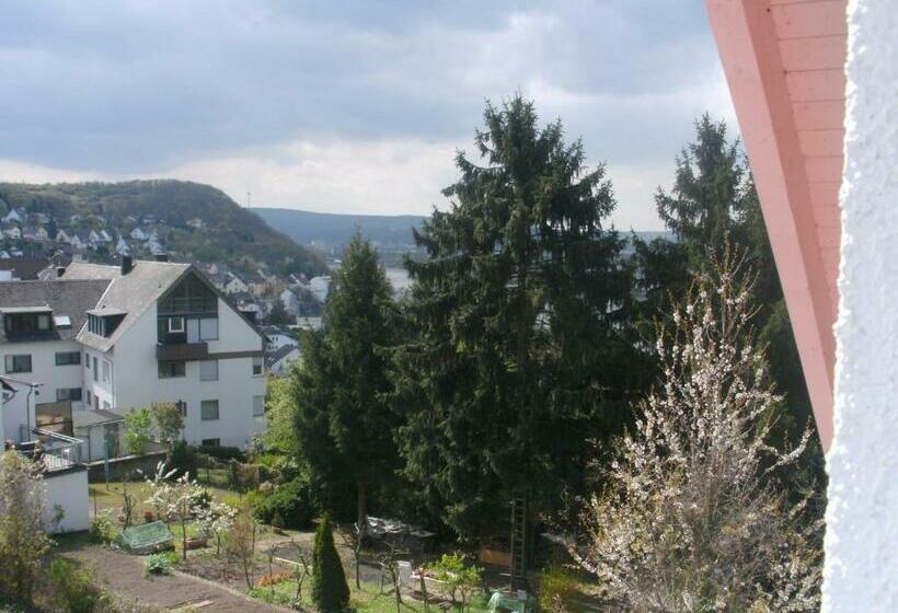 Quarto Estandar Individual, Rheinmoselview