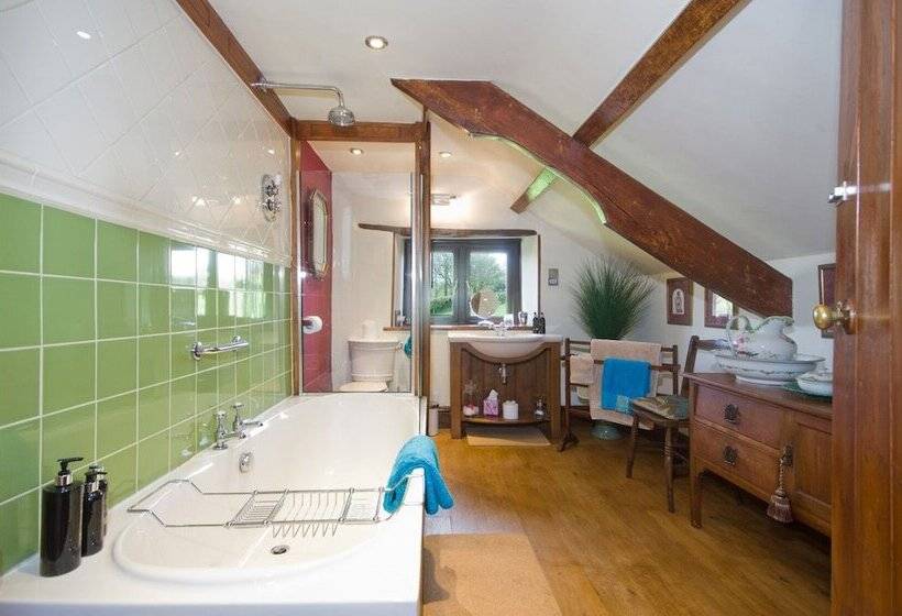 Номер Deluxe, Tregondale Manor Farm