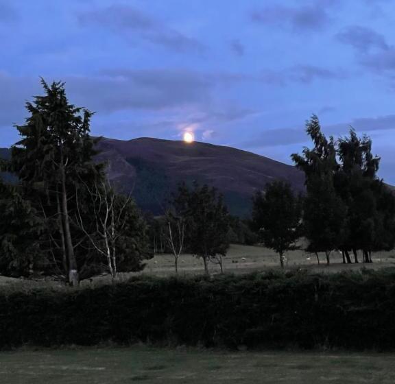 Capsule, Whitemoss Lodge