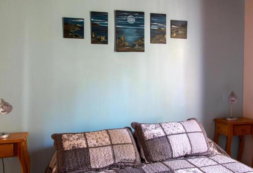 غرفة قياسية, Hostería Plas Y Coed Gwesty