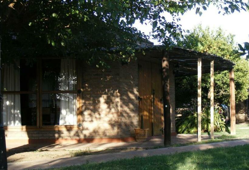 Номер Стандарт, Las Termas